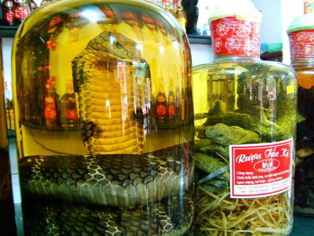 История о китайской водке со змеёй